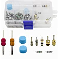 Magiin 108 Pcs AC R134A R12 Núcleos Válvulas Accesorios Tapa de Sistema de Aire Acondicionado Coche con Llave Removedor…